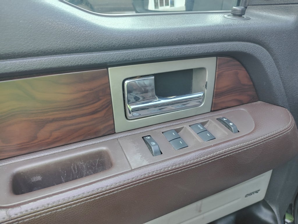 2009 Ford F-150 Platinum