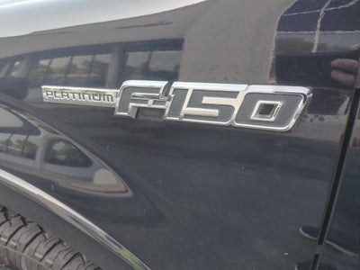 2009 Ford F-150 Platinum