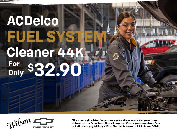 ACDelco Fuel System Cleaner 44K - For Only $32.90